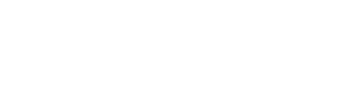 ISA São Paulo Section